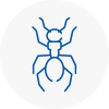 Ant Removals In Motherwell