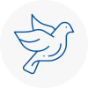 Bird Prevention Motherwell