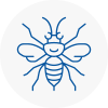 Motherwell Hornet Nest Removals