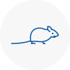 Mice Exterminators In Motherwell