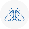 Moth Control Specialists In Motherwell