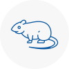 Rat Control Motherwell