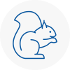 Motherwell Rodent Removals