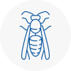 Motherwell Wasp Nest Removal